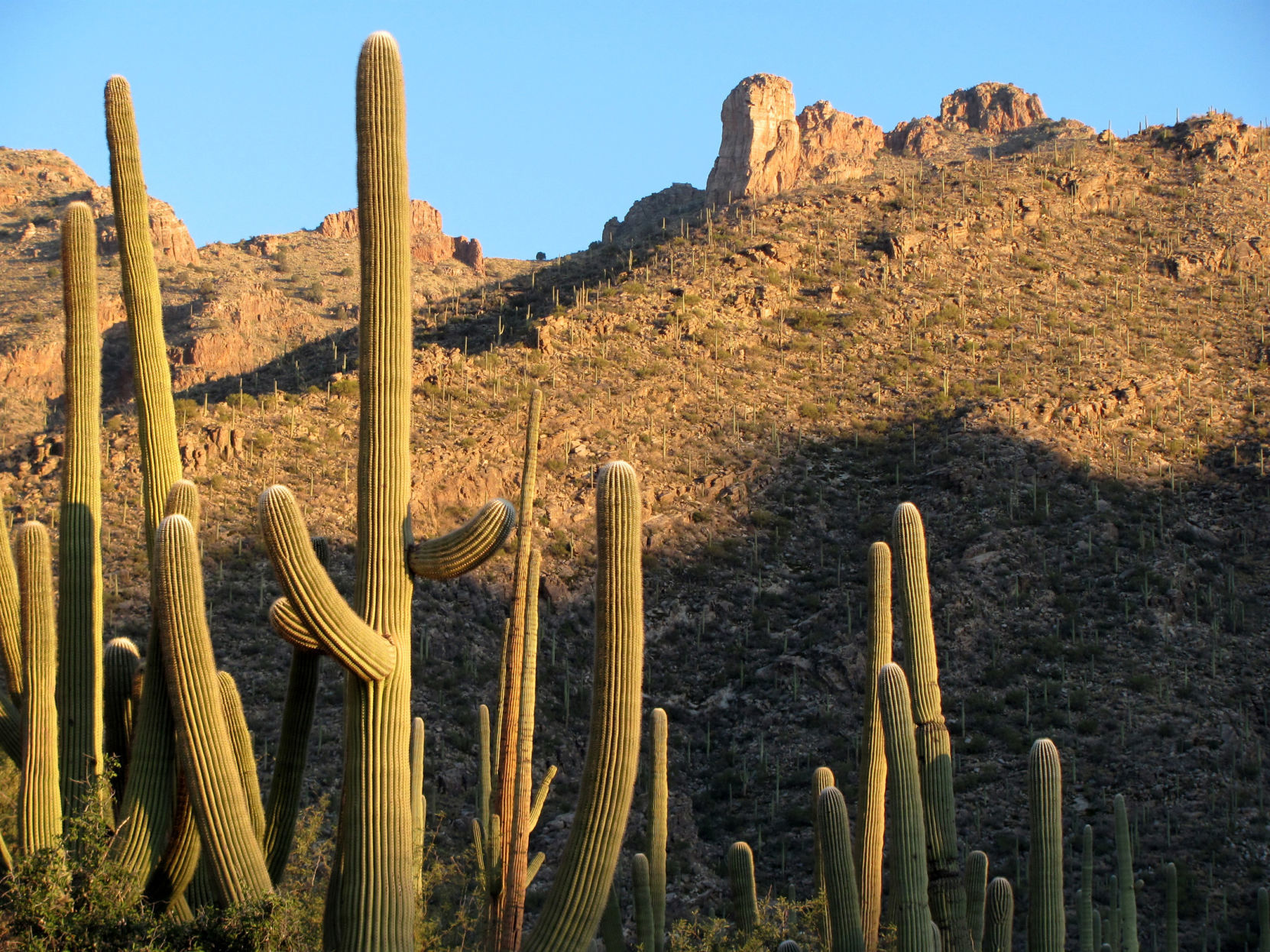 Finger Rock Trail